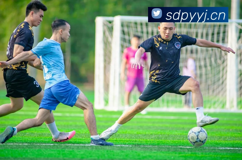 乐竞体育首页官网服务体系